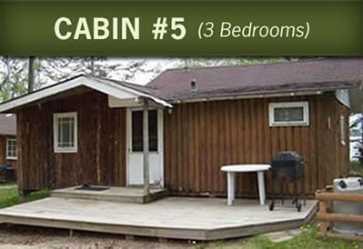 cabin5